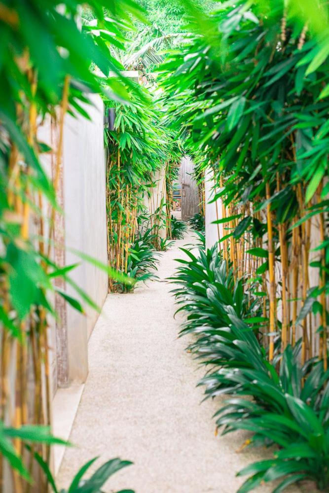 Marlaca Villas Lombok Kuta  Bagian luar foto
